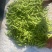 无筋豆角，大几豆角，四季豆，架豆王