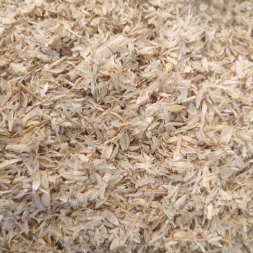 小麦壳