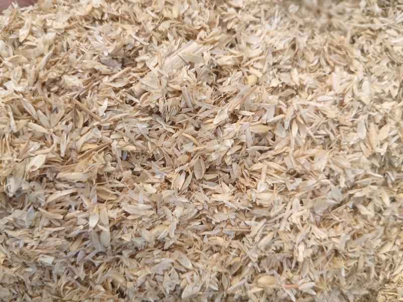 小麦壳