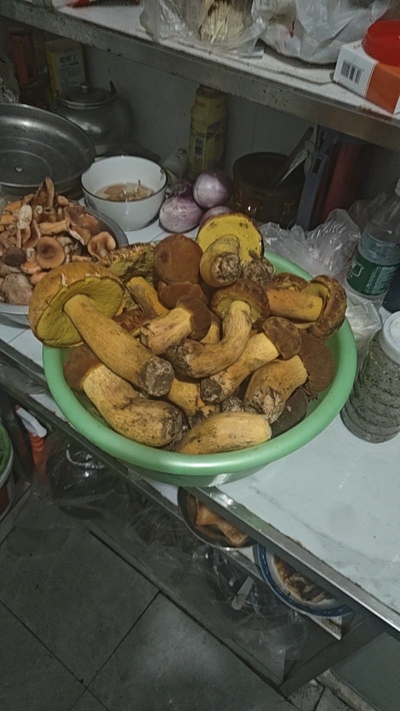 野生黑/黄/白牛肝菌
