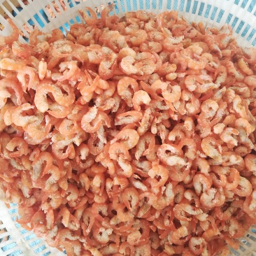 渤海湾特产，对虾，虾皮，虾米，烤虾等