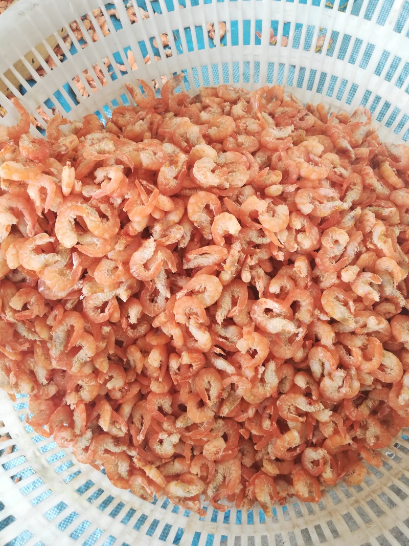 渤海湾特产，对虾，虾皮，虾米，烤虾等