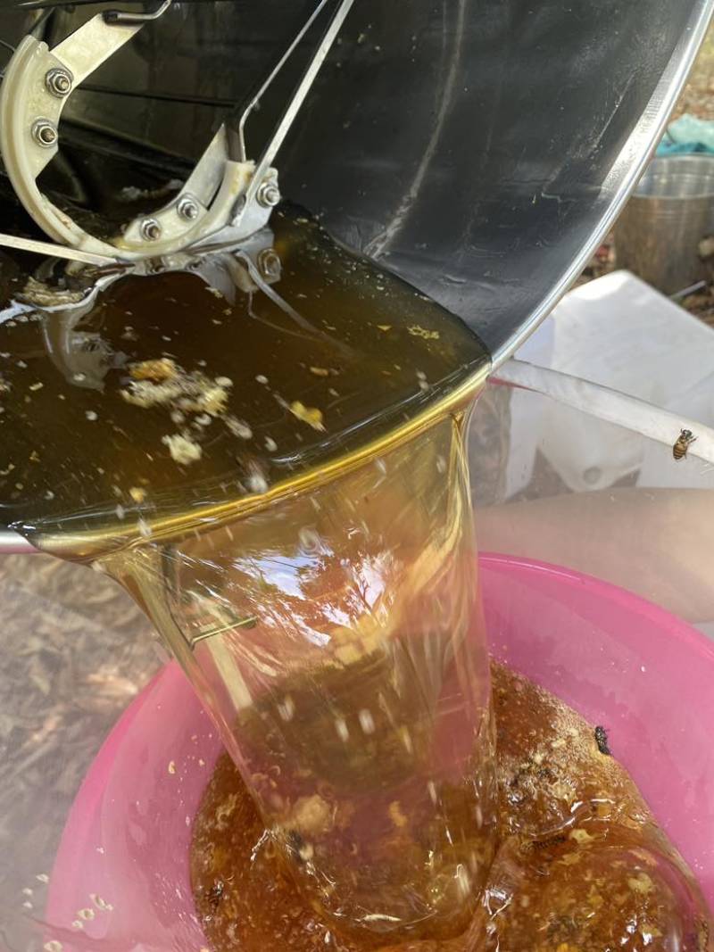 广西钦州土蜂蜜