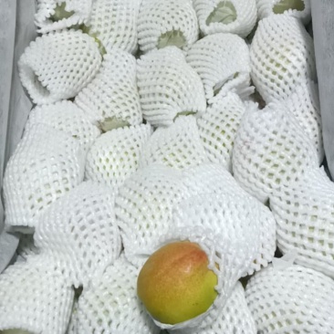 正宗库尔勒香梨