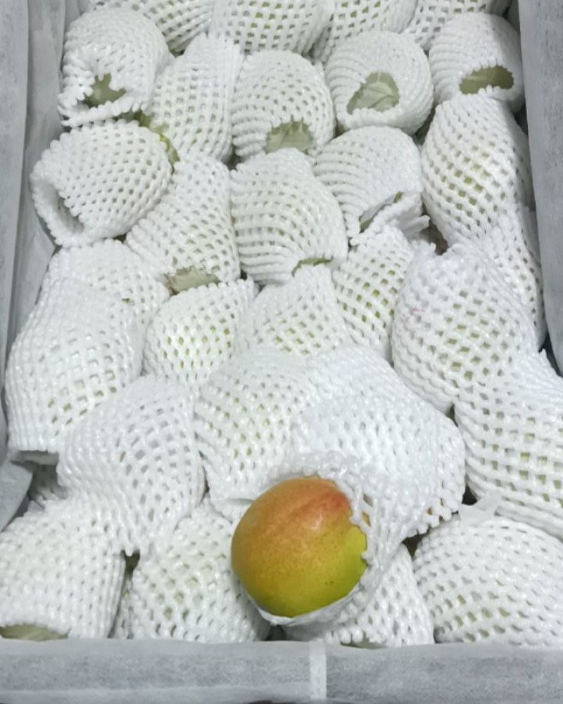 正宗库尔勒香梨