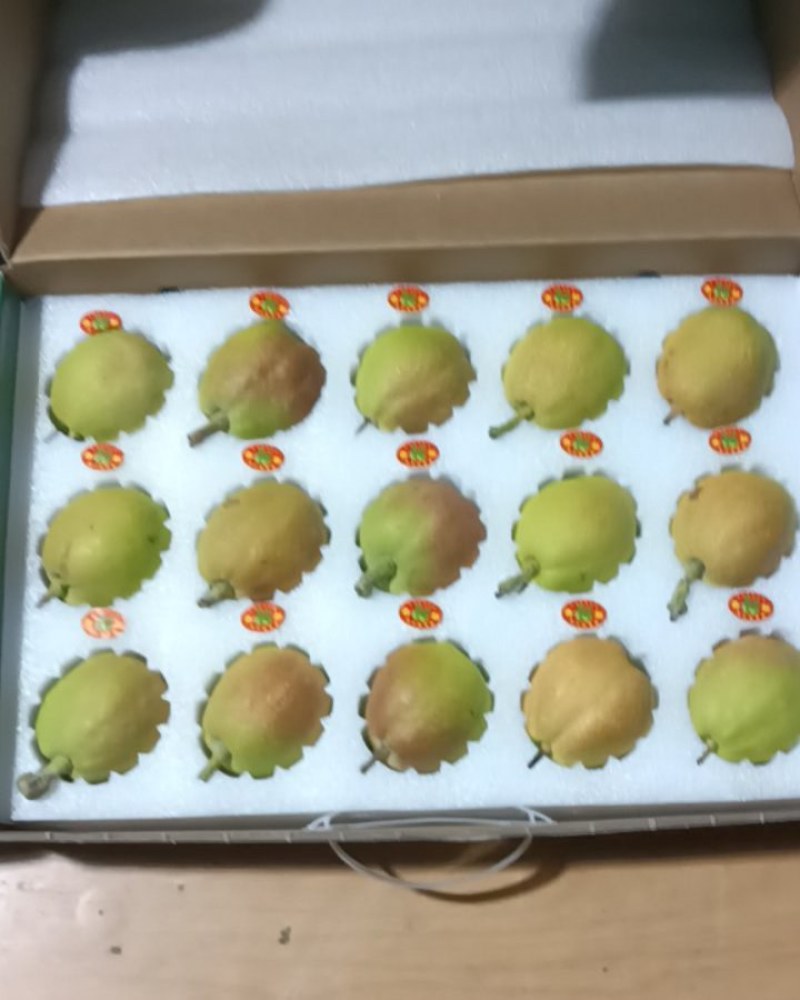 正宗库尔勒香梨