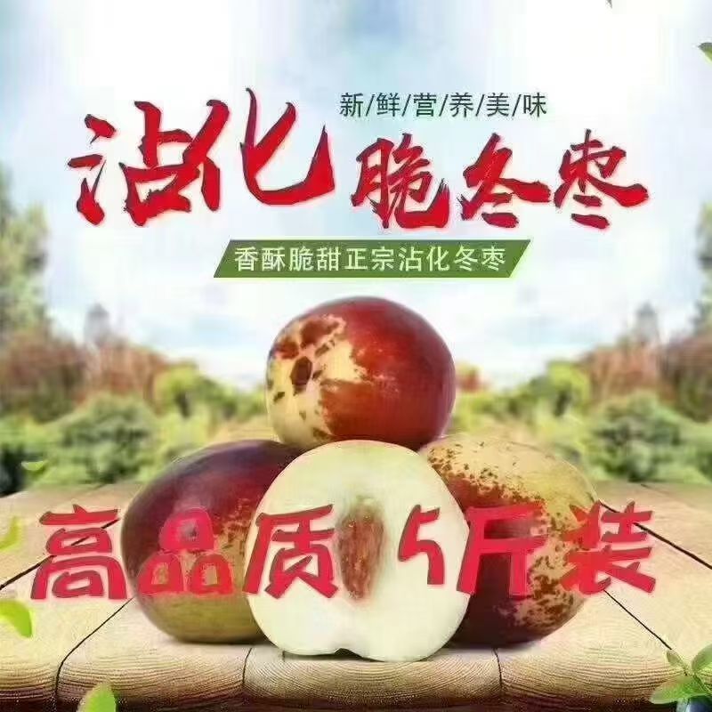 沾化冬枣一代二代