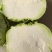 苤蓝菜