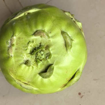 苤蓝菜