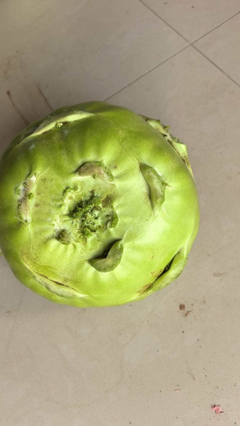 苤蓝菜