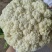 白菜，花菜，红萝卜，青萝卜，土豆，莴笋等