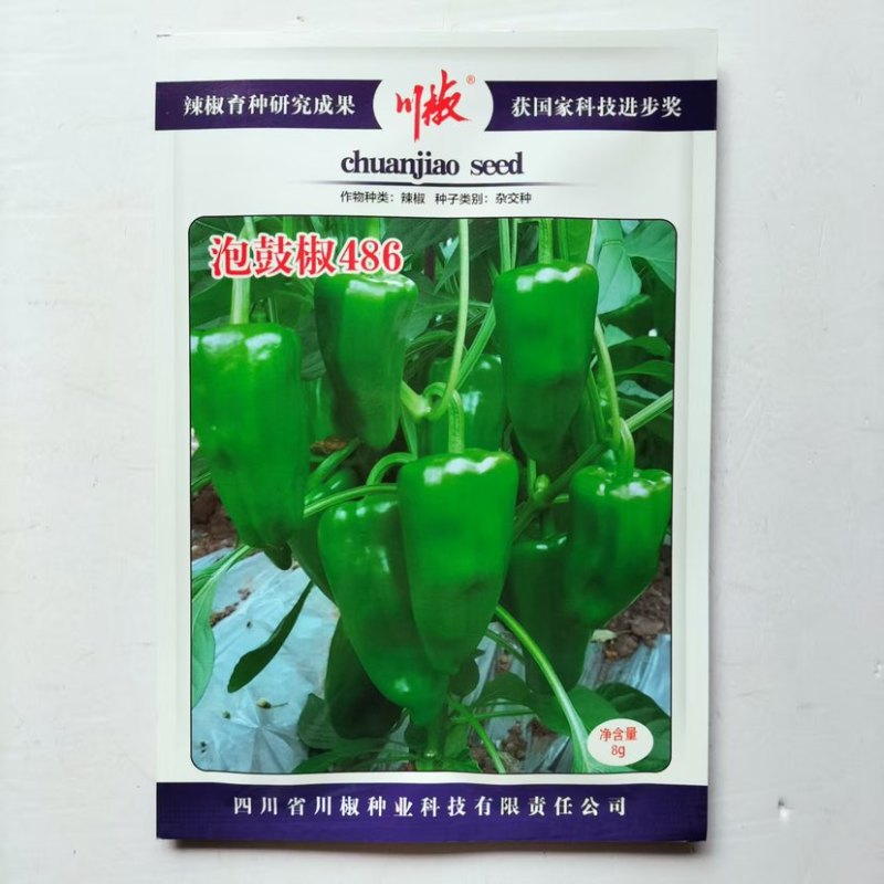 炮鼓椒486早熟泡椒辣椒种子皮薄肉厚微辣香脆口感好果长抗病强