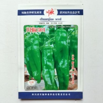 川椒301辣椒种子春秋播大果牛角椒种籽耐热泡椒蔬菜种籽中辣高