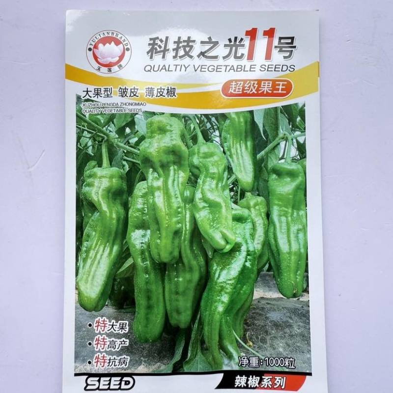 科技之光11号大果型皱皮薄皮椒辣椒种抗病高产早熟一代杂交灯笼
