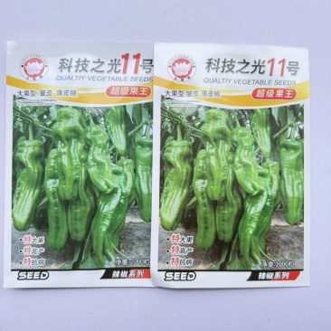 科技之光11号大果型皱皮薄皮椒辣椒种抗病高产早熟一代杂交灯笼