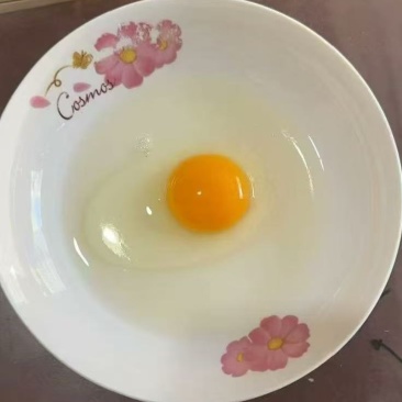 散养正宗农家土鸡蛋，草绿色产品