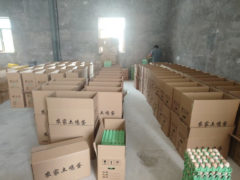 散养正宗农家土鸡蛋，草绿色产品