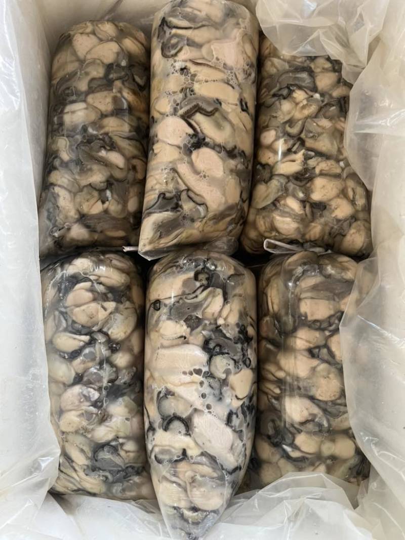 福建您的霞浦海蛎
