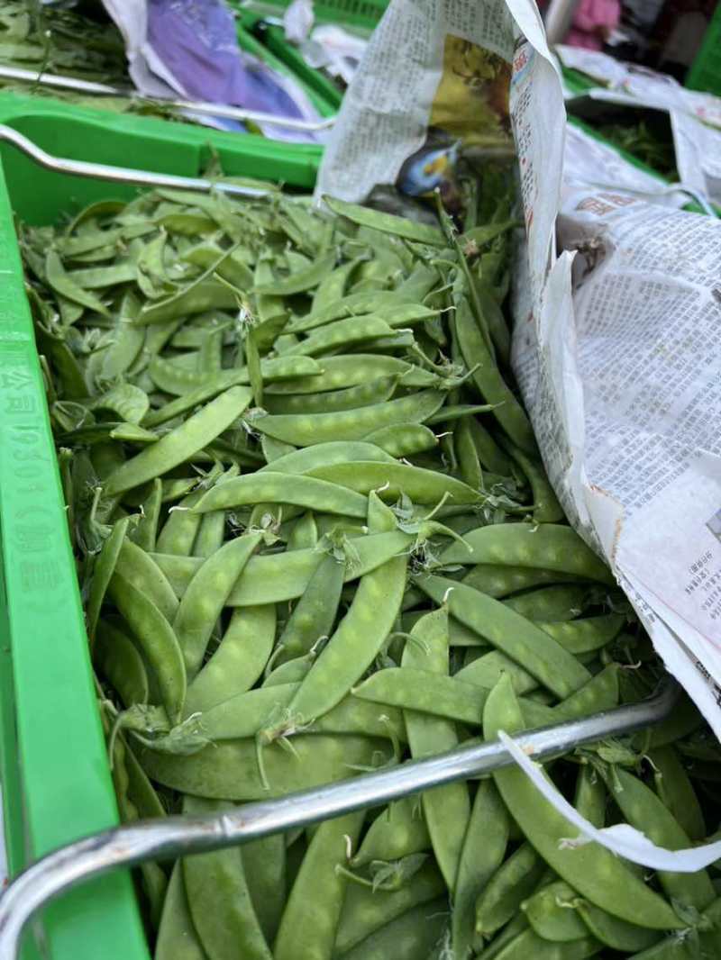 全年供应全国发车货源稳定一手价格各种等级均有