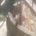 蜂蜜