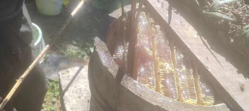 蜂蜜