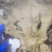 五香牛散代