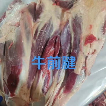 牛前腱