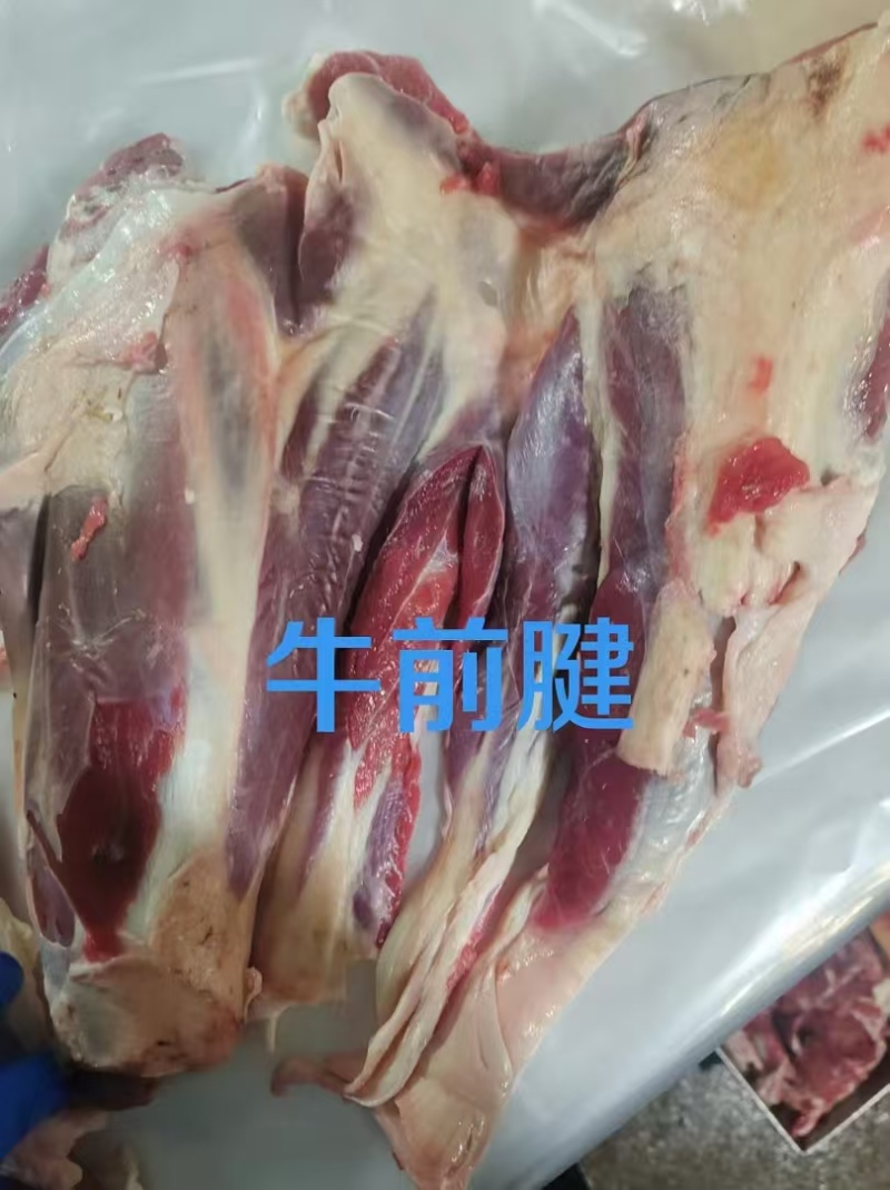 牛前腱