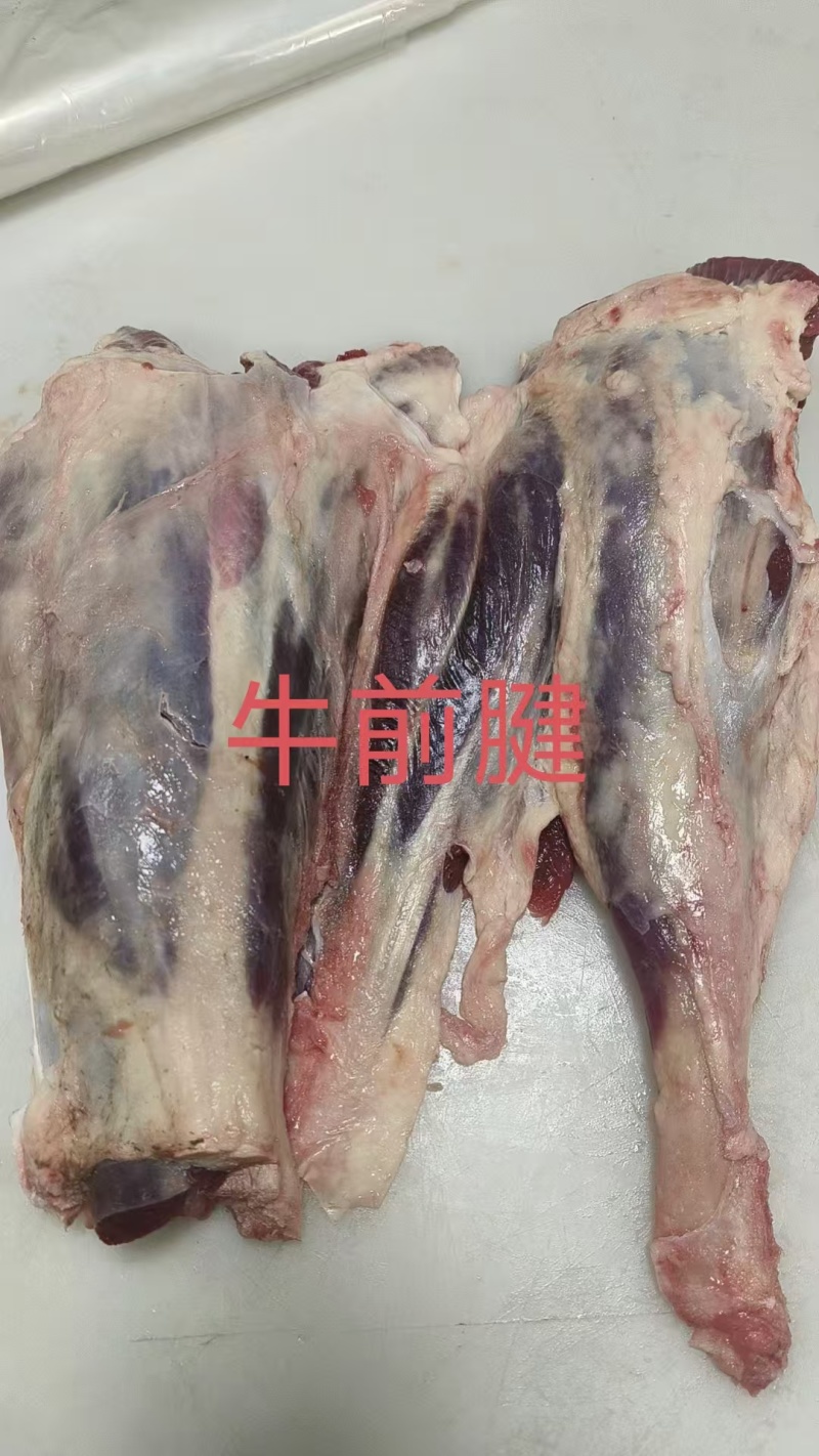 牛前腱