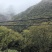 野生板栗🌰