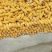 玉米棒，玉米粒