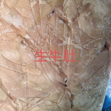 生牛肚
