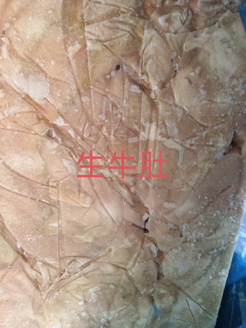 生牛肚