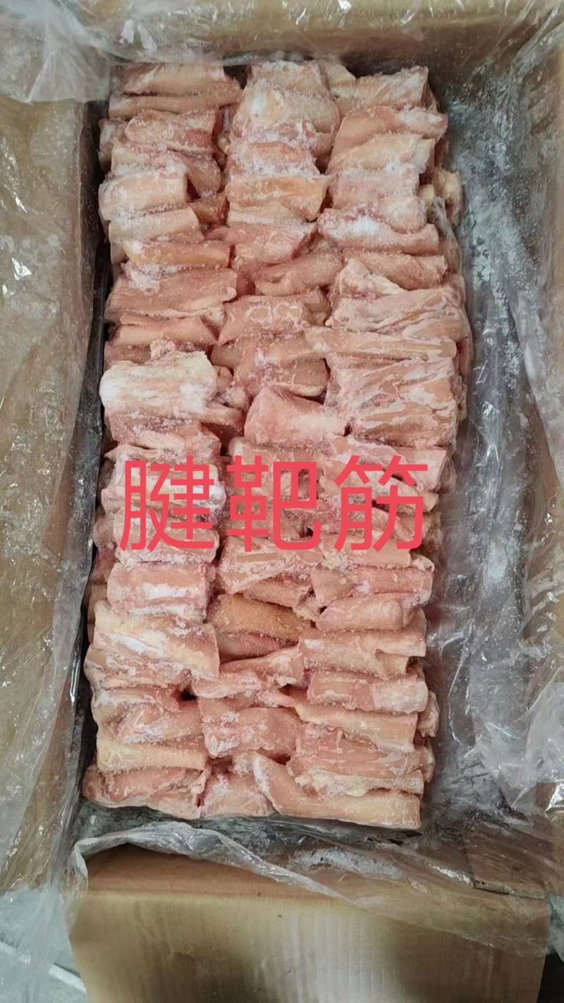 腱靶筋