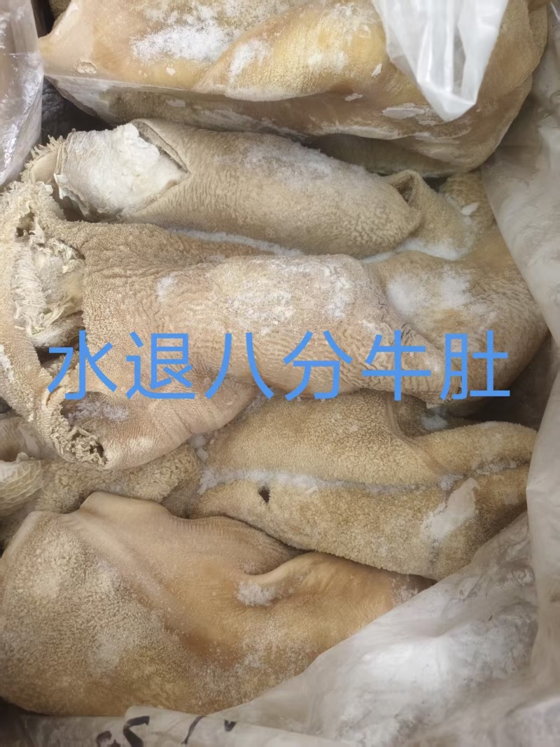水退八分牛肚