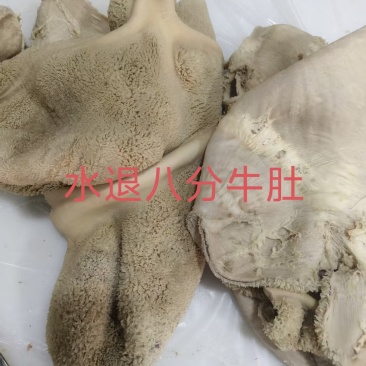 水退八分牛肚