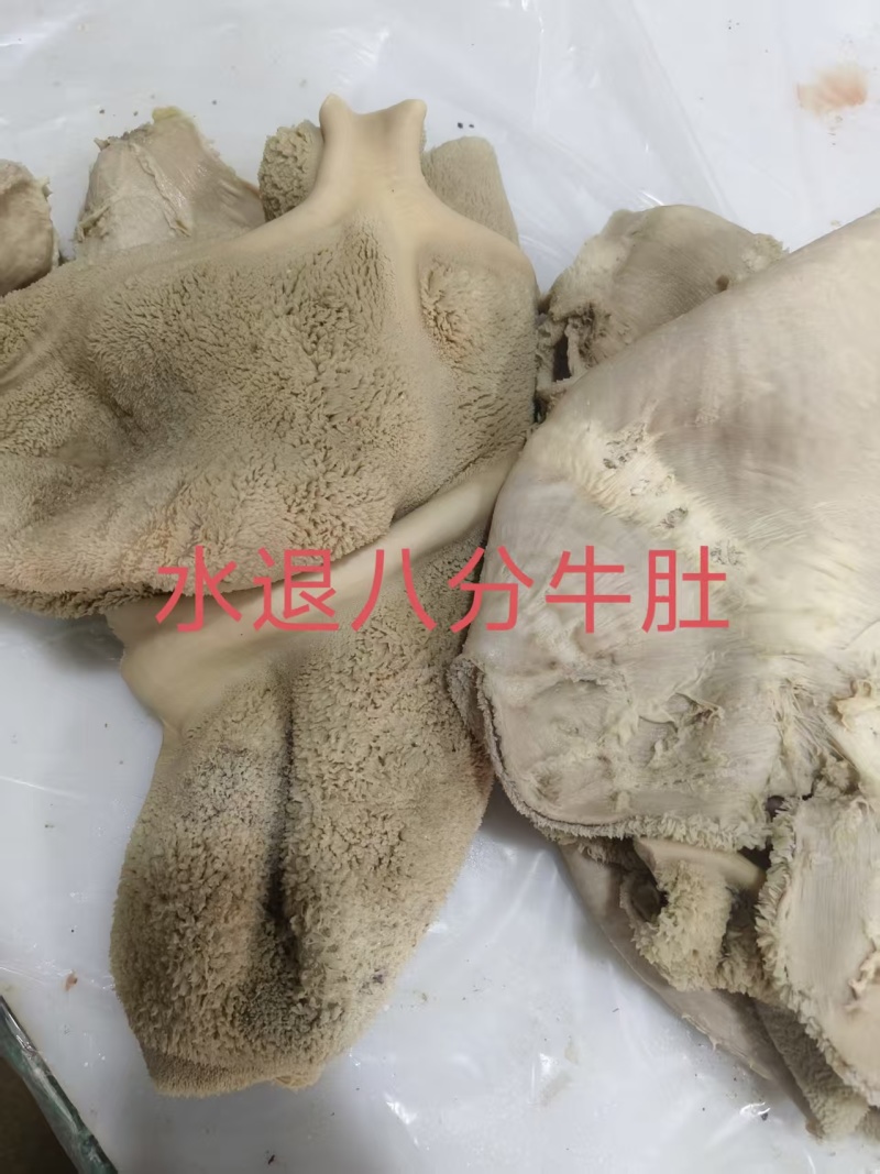 水退八分牛肚