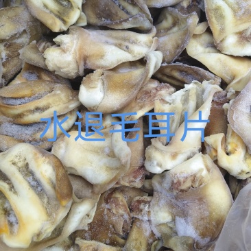 水退毛牛耳