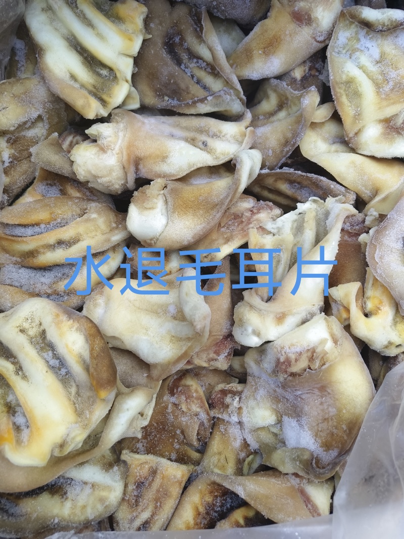 水退毛牛耳
