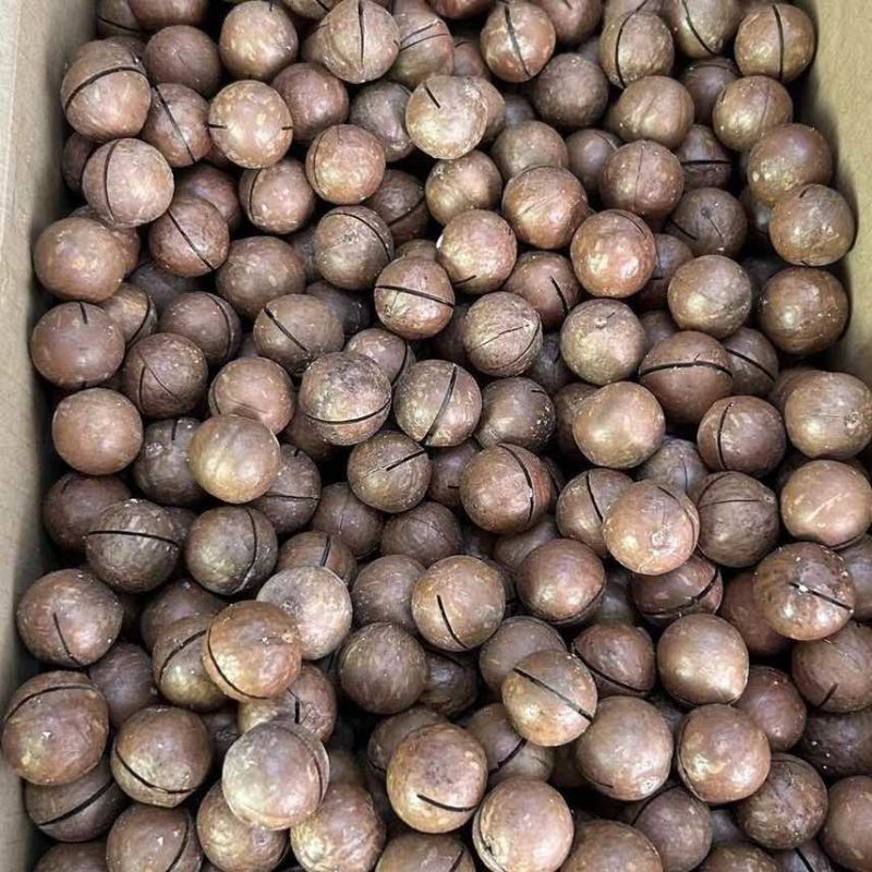 夏威夷果电商一件代发有量你就来