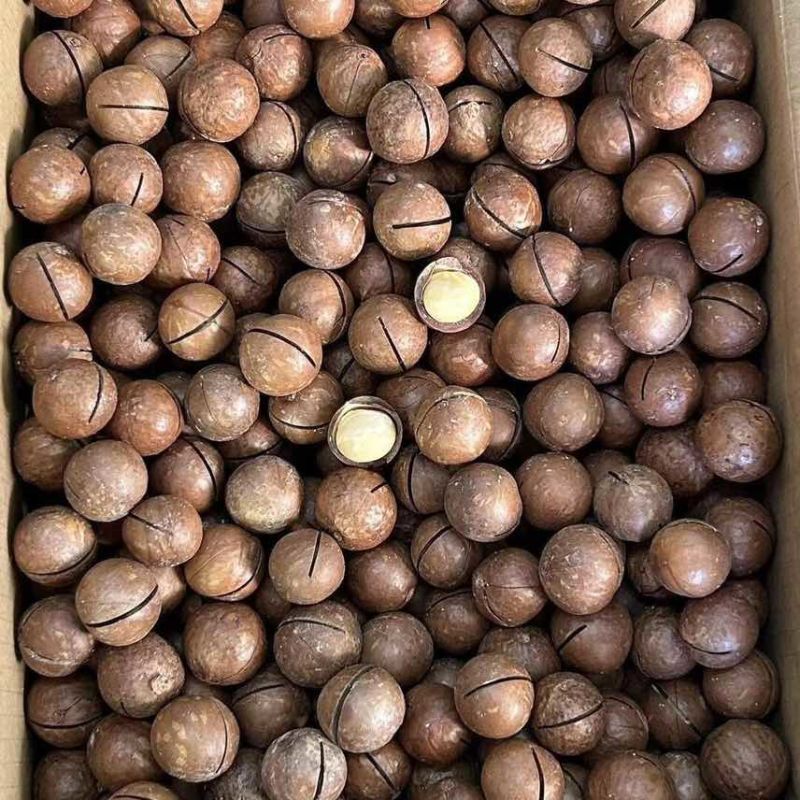 夏威夷果电商一件代发有量你就来