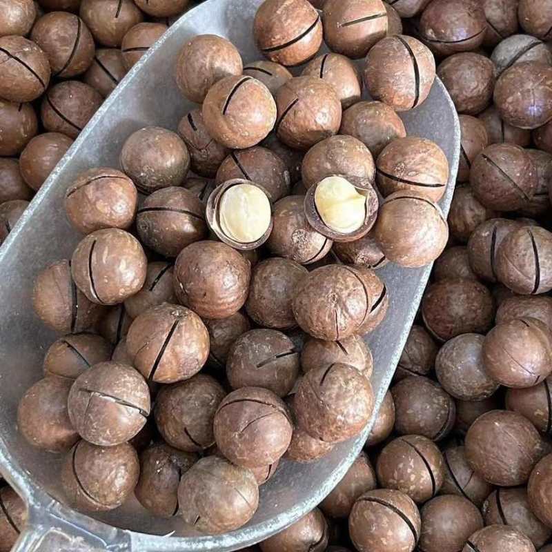 夏威夷果电商一件代发有量你就来