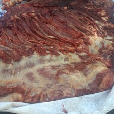 马肉