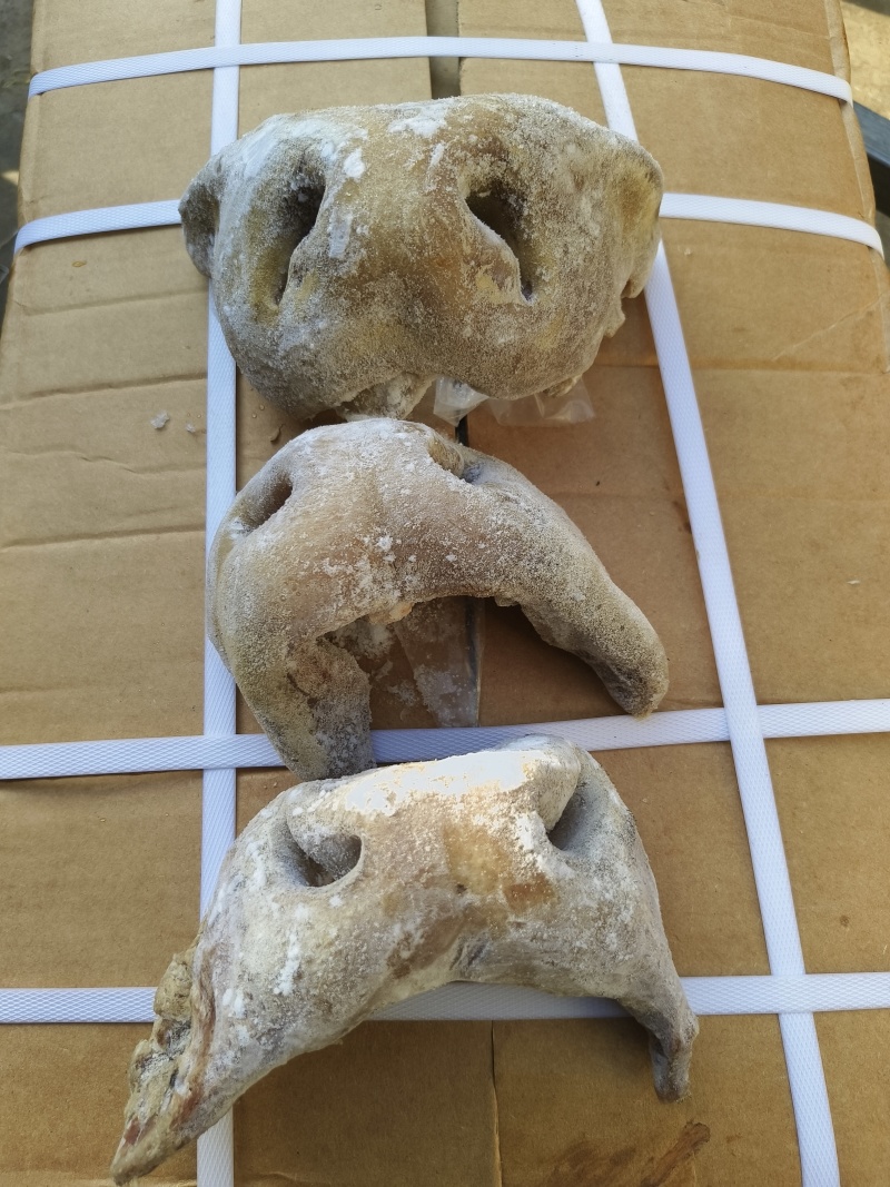 半成品牛鼻子