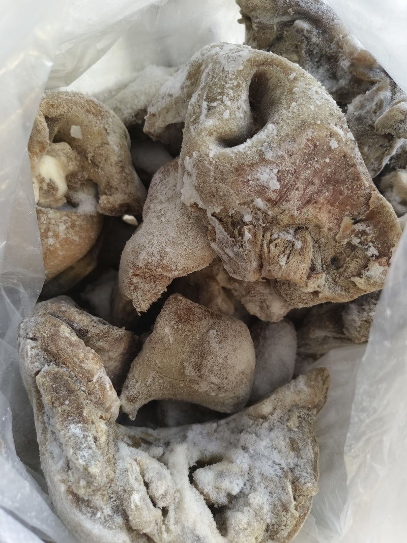 半成品牛鼻子