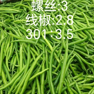 辣椒行情