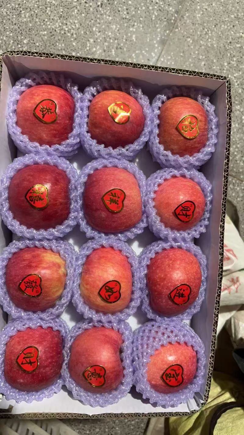 合阳秦脆苹果