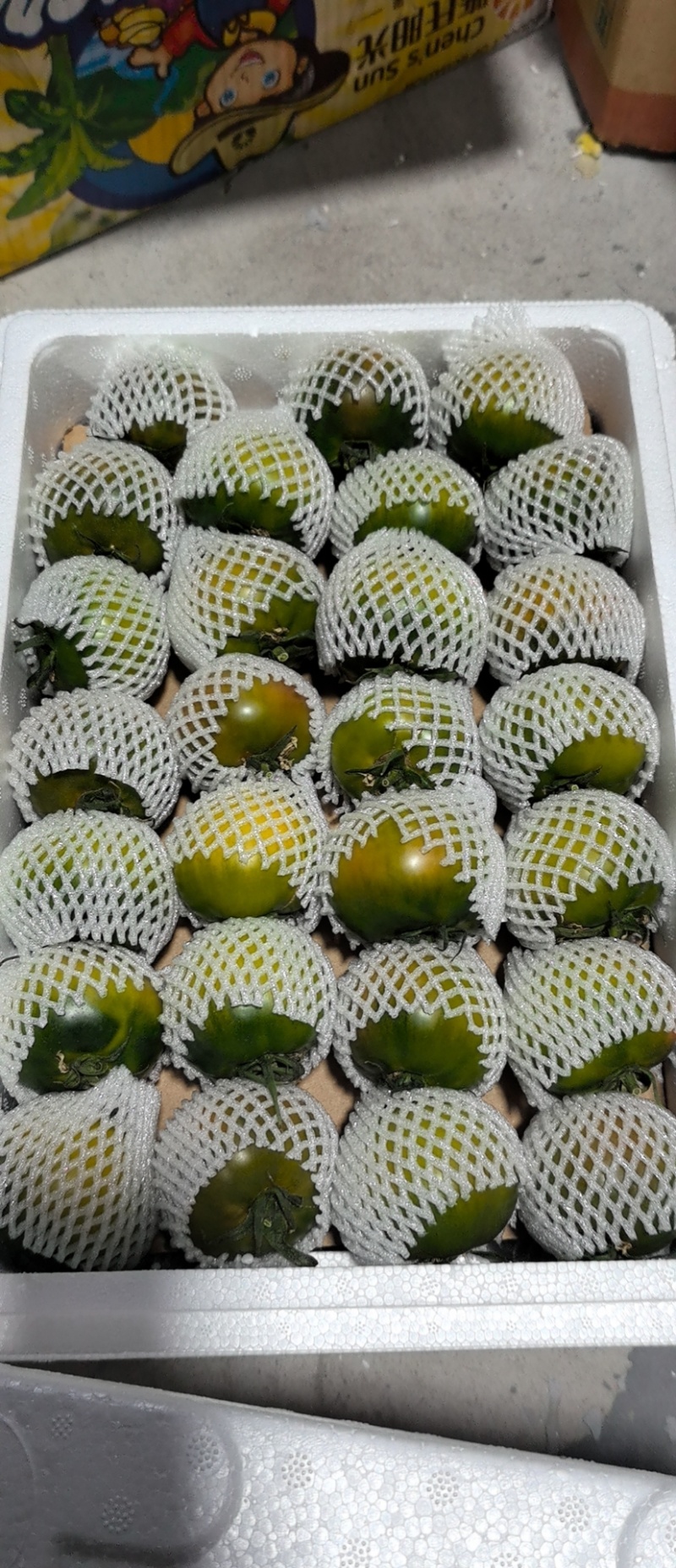 盘锦草莓柿子