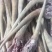 ￼带皮牛尾，整根，可切块，适用于各种炖煮，烹炒等