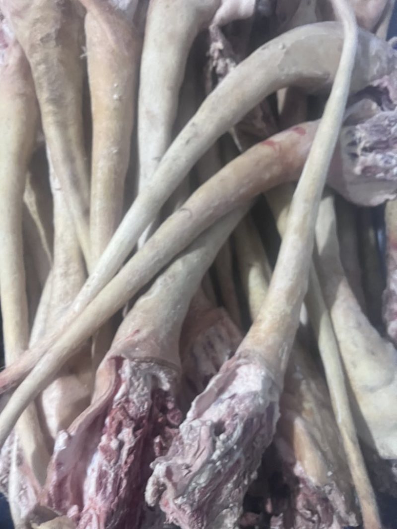 ￼带皮牛尾，整根，可切块，适用于各种炖煮，烹炒等